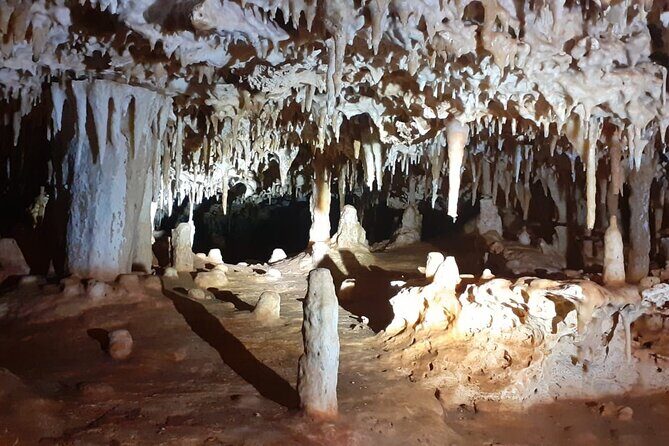 Bonaire Cave Tour: Walk, Climb & Swim - Key Points