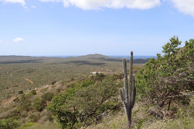 Bonaire Island North Side DiscoveryTour - A Closer Look at the Bonaire North Side Discovery Tour