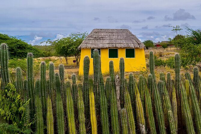 Bonaire Island North Side DiscoveryTour - The Sum Up: Who Will Love This Tour?