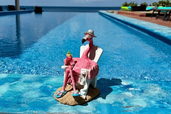 Bonaire Oceanfront Villa Day Pass All-Inclusive Cruise Friendly - A Relaxing Day at Bonaire’s Oceanfront Villa: An Honest Review