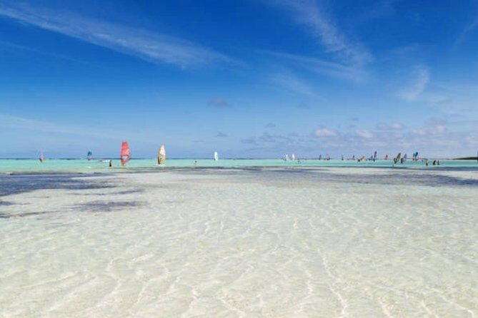 Bonaire Shore Excursion: The Bonaire Highlights Tour - The Experience: What You Will Actually Do