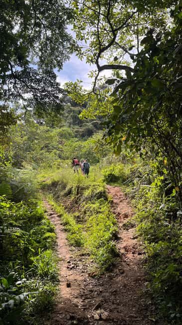 Bonao: Hike to Hidden Tropical Waterfalls with Locals - Who Should Consider This Tour?