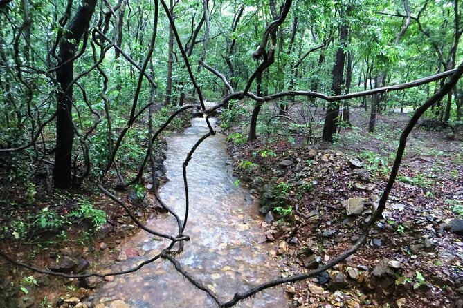 Bondla Wildlife Sanctuary With Lunch in Spice Plantation in Goa - Wildlife and Birdwatching Opportunities