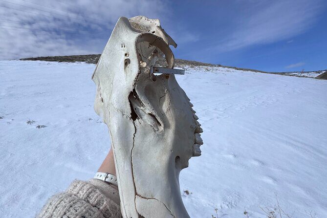 Bone Hunting in Wyoming - Final Thoughts