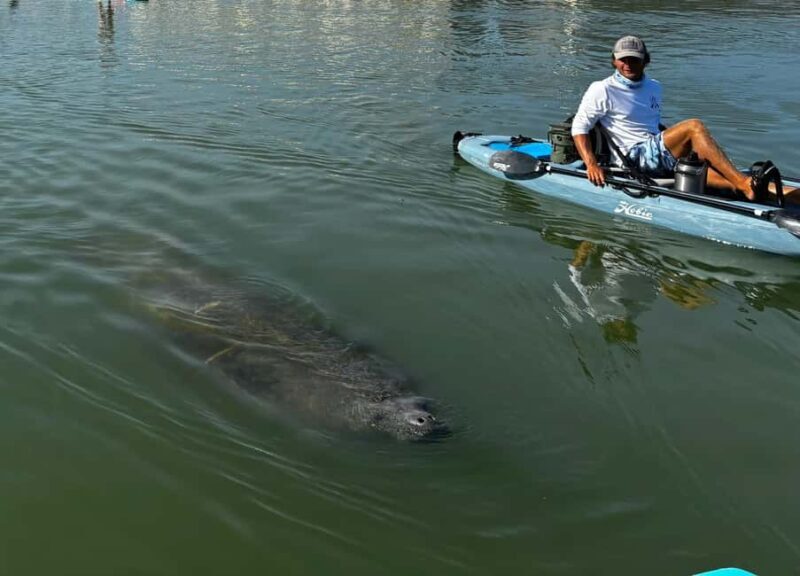 Bonita Springs: Kayak Tour with Manatees, Dolphins Sightings - Who Will Love This Tour?