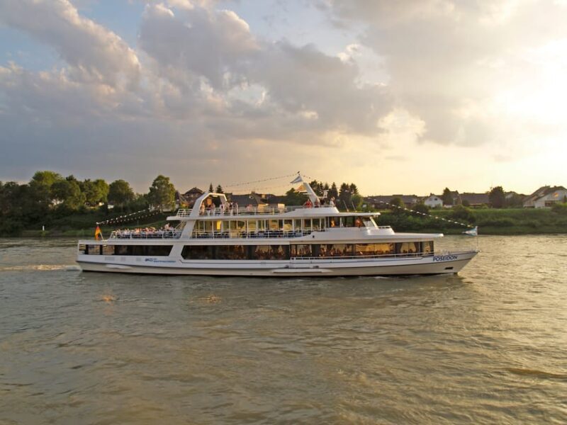 Bonn: 1.5-Hour River Cruise on the Rhine - What You Can Expect: The Cruise in Detail