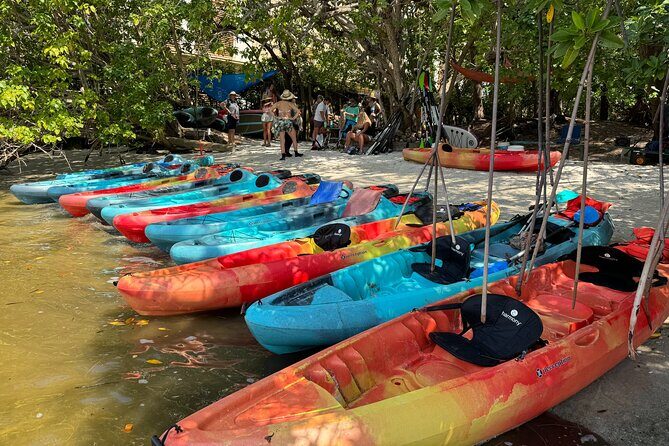 Bonnet House 2 Hour Rental (Paddleboard or Kayak) - Why This Experience Works for You