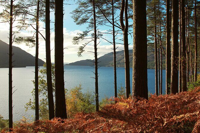 Bonnie Lochs & Bold Whisky Small Group Tour from Edinburgh - Key Points