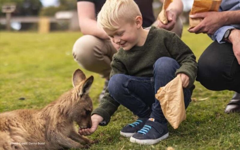 Bonorong & Richmond: Shore Excursion (Private Tour) - A Closer Look at the Tour Itinerary