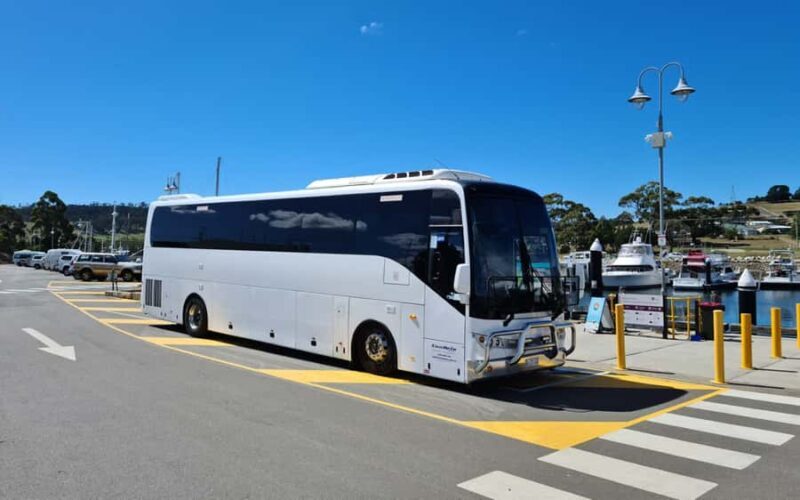 Bonorong & Richmond: Shore Excursion (Private Tour) - Possible Drawbacks