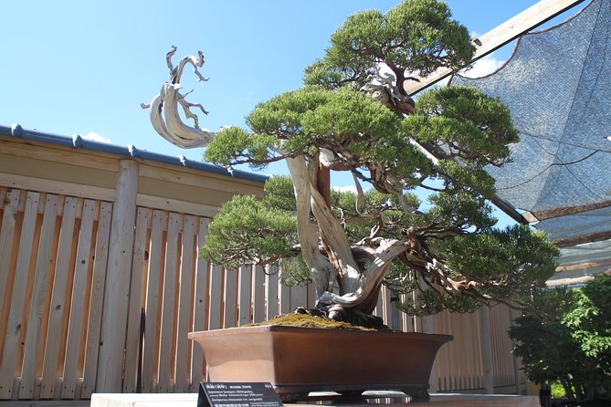 Bonsai Museum & Bonsai Experience - Meeting and Pickup Details