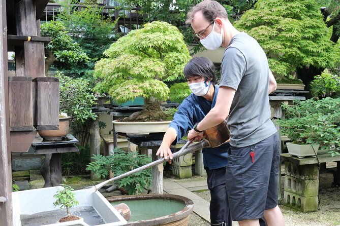 Bonsai(Japanese Plants Art)Culture Experience in Tokyo Progress - Key Points