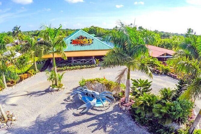 Boogies Adventure, Private Cave, Taino Show - An In-Depth Look at the Itinerary