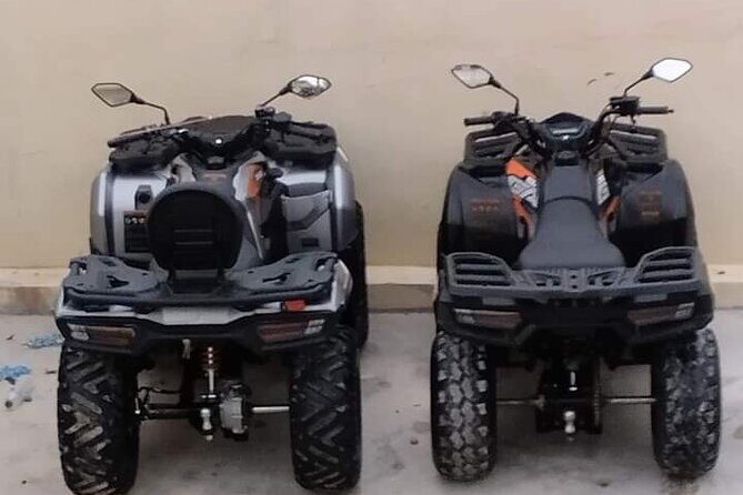 BOOGIES/BUGGY & ATV -# 1 Adventures IN PUNTACANA - What Do the Reviews Say?