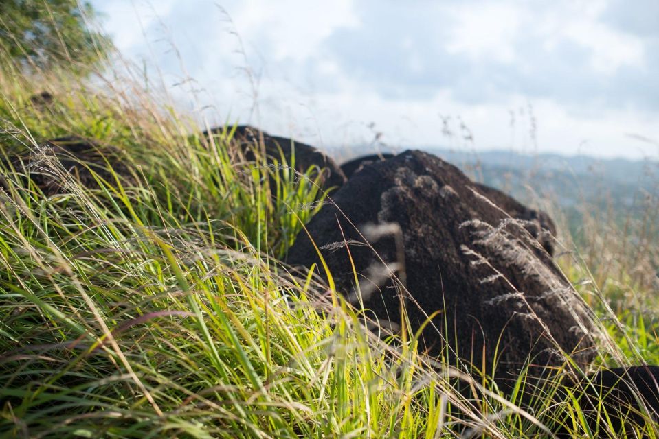 Book Stonehenge Hike, Greencastle Hill at Sunrise/Sunset - Pickup and Drop-Off From Saint Johns