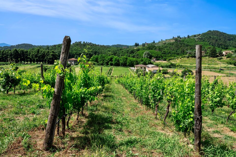 BOOK YOUR PRIVATE WINE OR BEER AMAZING EXPERIENCE IN LUCCA - Logistics and Accessibility