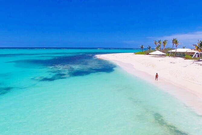 Boomerangs Best of Anguilla: Swim with Turtles Adventure - An In-Depth Look at the Experience