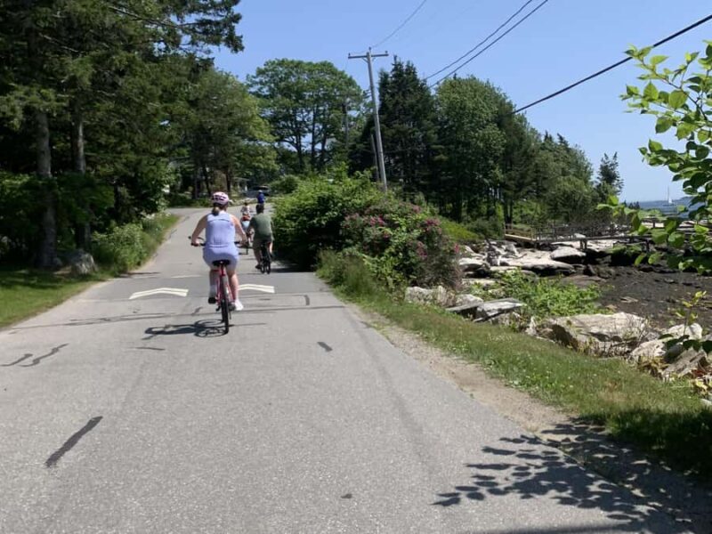 Boothbay Harbor: Joy Ride E-Bike Tour with Art Studio Visit - Who Will Enjoy This Tour?