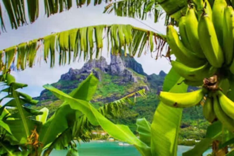 Bora Bora: 4WD History & Culture Tour - The Experience and Its Value