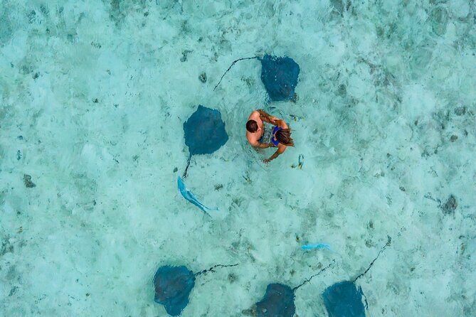 Bora Bora adventure Private Combo Jet Ski and Eco Sharks Snorkel - Discovering Bora Bora: What to Expect