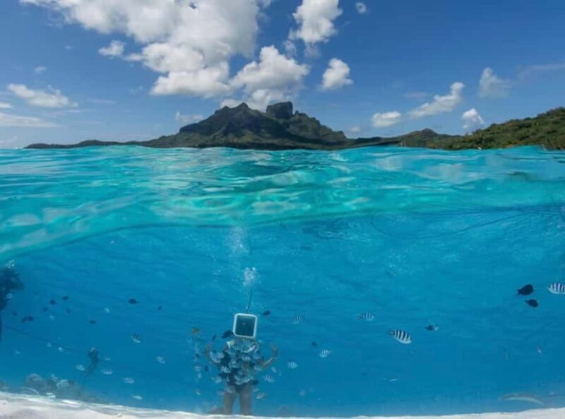 Bora Bora: Aquasafari Helmet Dive & Coral Garden Tour - Who Will Love This Tour?