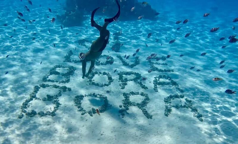 Bora Bora: Blue Lagoon Cruise, Snorkeling and Lunch . - Final Thoughts: Is This Tour Worth It?