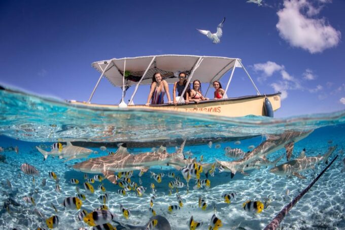 Bora Bora Combo SNORKELING & JEEP SAFARI Adventure Tour - Important Considerations