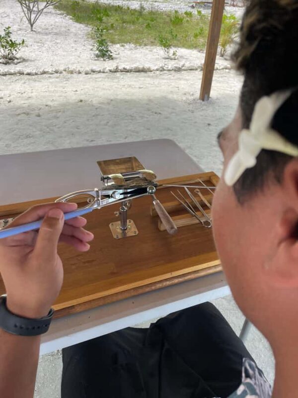 Bora Bora: Discovering the Tahitian black pearl ! - Key Points