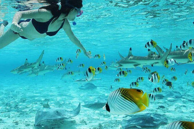 Bora Bora Full Day Snorkeling with Lunch - Final Thoughts