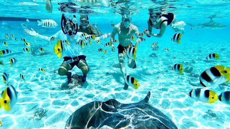 Bora Bora: Half-Day Traditional Canoe Ride in the Lagoon - The White Sandbank and Relaxation