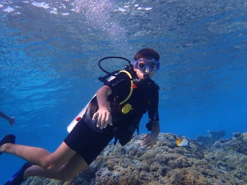 Bora Bora: Introductory Dive - Why This Tour Works Well