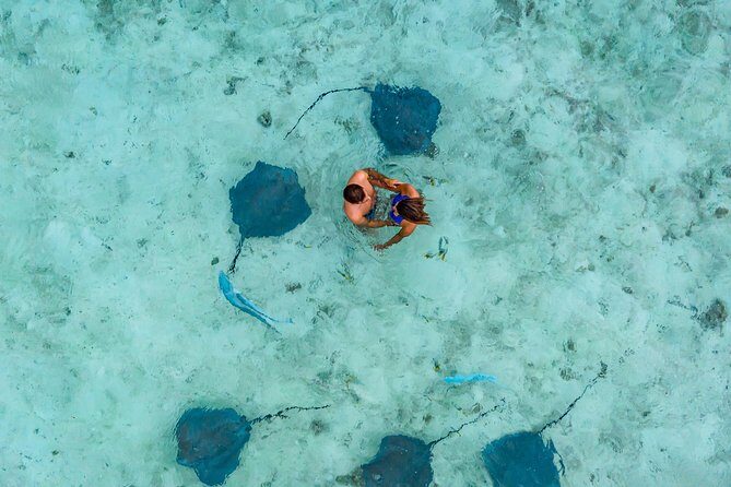 Bora Bora Jet Ski Tour, & Eco Shark / Ray Snorkel Cruise - An Overview of the Experience
