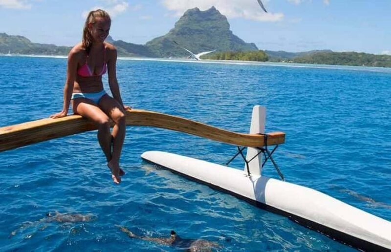 Bora Bora: Lagoon Snorkeling Half-Day Private Boat Tour - An In-Depth Look at the Bora Bora Lagoon Snorkeling Tour