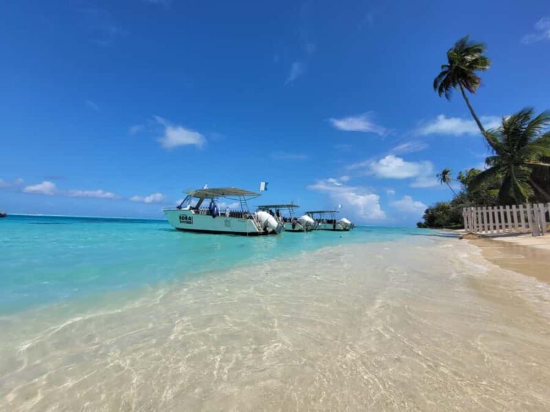 Bora Bora: Morning 2 tank dive for certified divers - The Practicalities: What You Need to Know