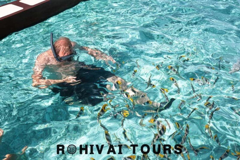 Bora Bora: Private 1/2 day lagoon safari tour - Key Points