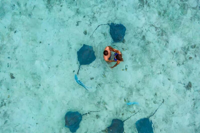 Bora Bora: Private Boat Tour with Snorkeling and Drinks - An In-Depth Look at the Bora Bora Private Boat Tour