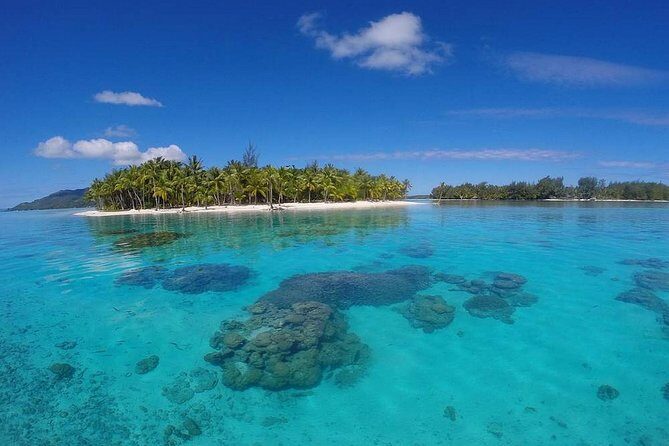 Bora Bora Private Lagoon Tours - What Makes This Tour Stand Out?