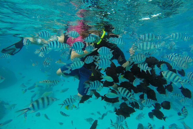 Bora Bora Private Lagoon Tours - Pricing and Value