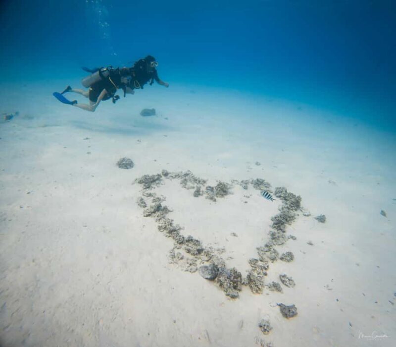 Bora Bora: Romantic Dive for Two People (Beginners) - Authenticity and Reviewer Perspectives