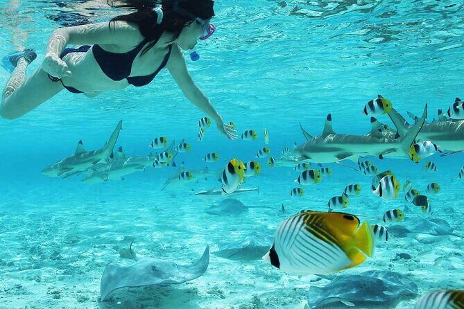 Bora Bora SNORKELING AND ATV QUADS TOURS COMBO - Discovering Bora Bora: A Practical Breakdown of the Tour