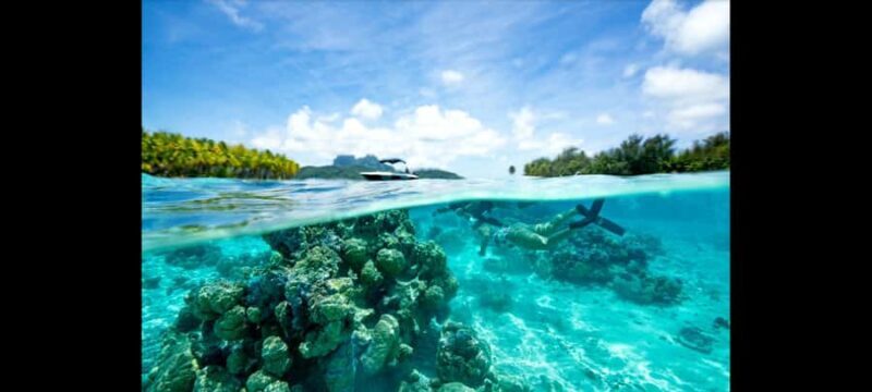 Bora Bora: Snorkeling and Fishing Tour with Lunch Option - An Introduction to the Experience