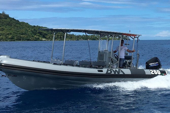 Bora Bora Whale Watching - Frequently Asked Questions