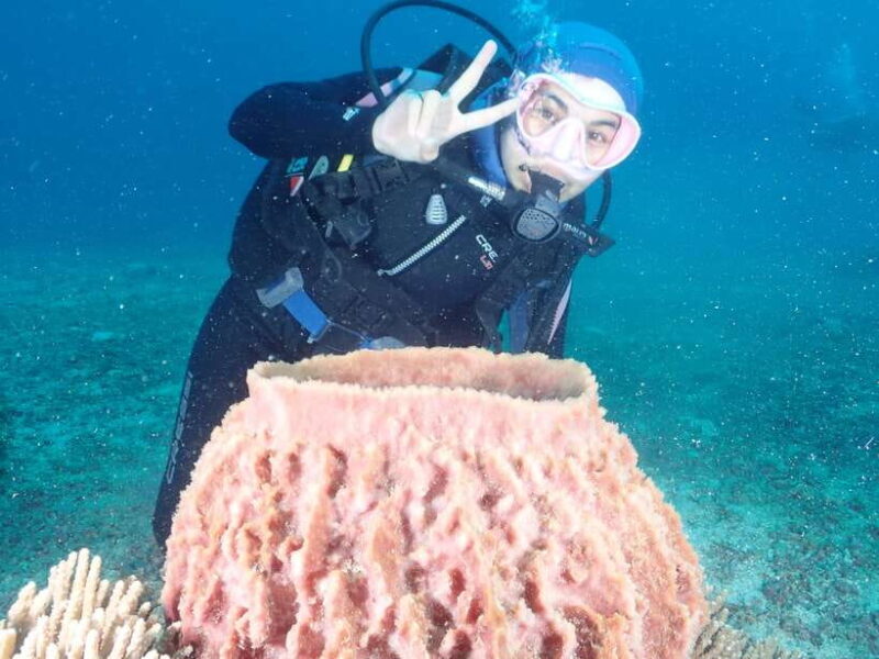 Boracay: 2-day Open Water PADI Diving Course - Key Points