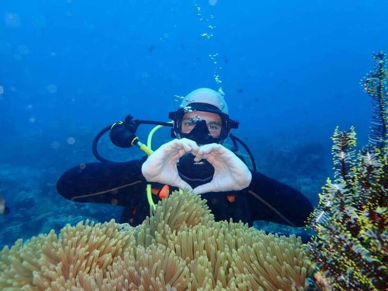 Boracay: 2-day Open Water PADI Diving Course - Value and Pricing: Is It Worth It?