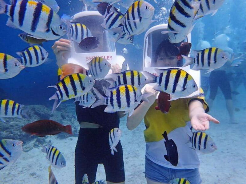 Boracay: Aquanaut Adventure with Photos and Videos - The Sum Up