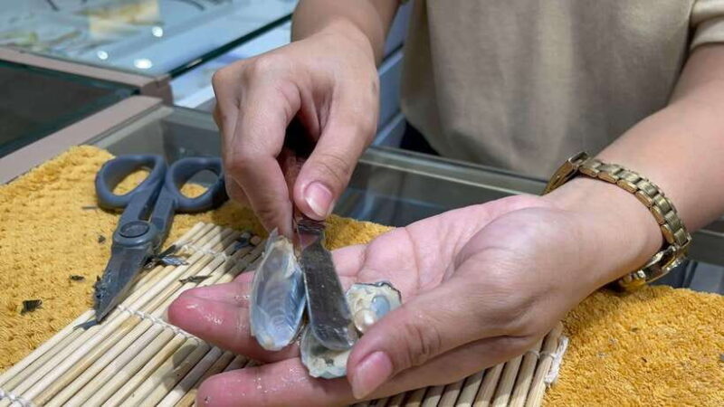 Boracay: Private Land Tour with Pick a Pearl Experience - Key Points