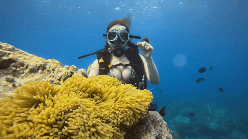 Boracay Scuba Diving With Parasailing and E-Scooter - Key Points