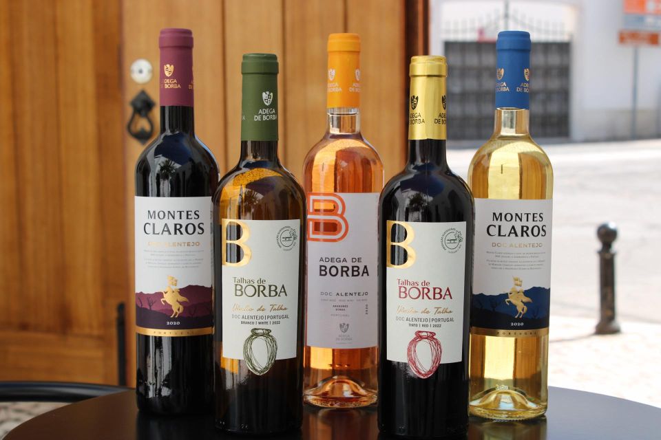 Borba: Montes Claros Battle Tour on a Sidecar Motorcycle - Key Points