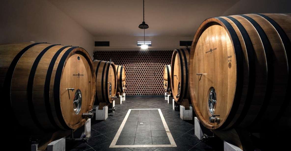 Borba: Winery Tours and Amphora Wine Tasting - Experience Highlights