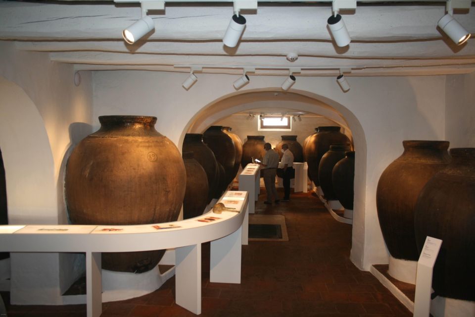 Borba: Winery Tours and Amphora Wine Tasting - Multimedia and Accessibility